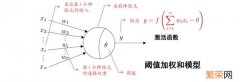 P神经元模型 神经元模型简单制作方法