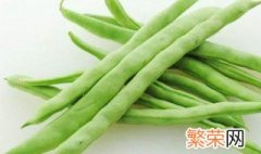 什么是四季豆 关于四季豆的介绍