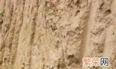 什么是观音土什么能吃 观音土是什么可以吃