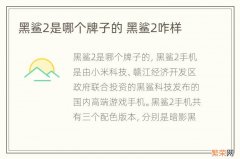 黑鲨2是哪个牌子的 黑鲨2咋样