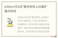 p30pro可以扩展内存吗 p30能扩展内存吗