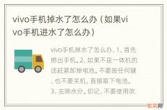 如果vivo手机进水了怎么办 vivo手机掉水了怎么办