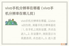 vivo手机分辨率在哪儿找 vivo手机分辨率在哪看