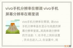 vivo手机分辨率在哪调 vivo手机屏幕分辨率在哪里调