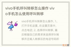 vivo手机呼叫转移怎么操作 vivo手机怎么使用呼叫转移