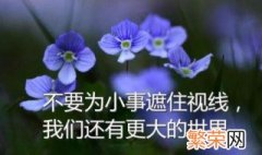 适合柳暗花明的微信签名经典语句 微信个性签名诗意简短