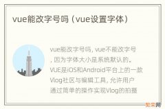vue设置字体 vue能改字号吗