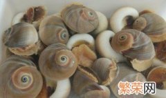 猫眼螺怎么清洗 怎么清洗猫眼螺