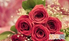 什么花的花语是爱情 哪些花的花语是爱情