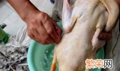 拔鸭毛的最快方法图解 拔鸭毛的最快方法