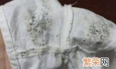 衣服发霉了怎么清理干净 衣服发霉了如何清洗干净